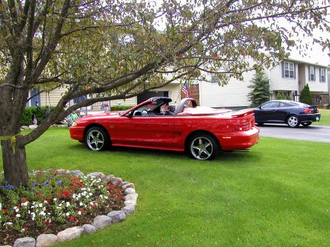 Tom & Pat Lichinsky, 94 GT Convertible click to enlarge and see description