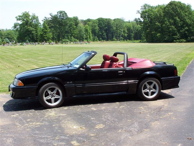 Bob & Jean Wituszynski, 1989 Mustang GT Convertible click to enlarge and see description