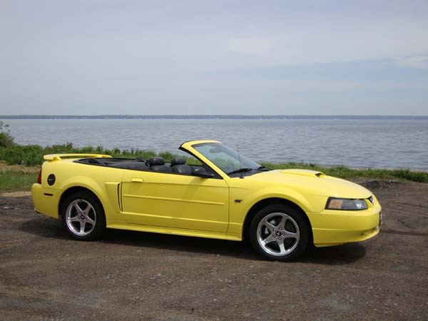Gene and Pat Gonzales, 2003 Mustang GT Convertible click to enlarge and see description