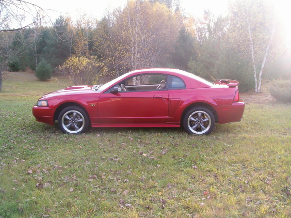 Kyle & Shalene Lattenhauer, 2003 Mustang GT click to enlarge and see description