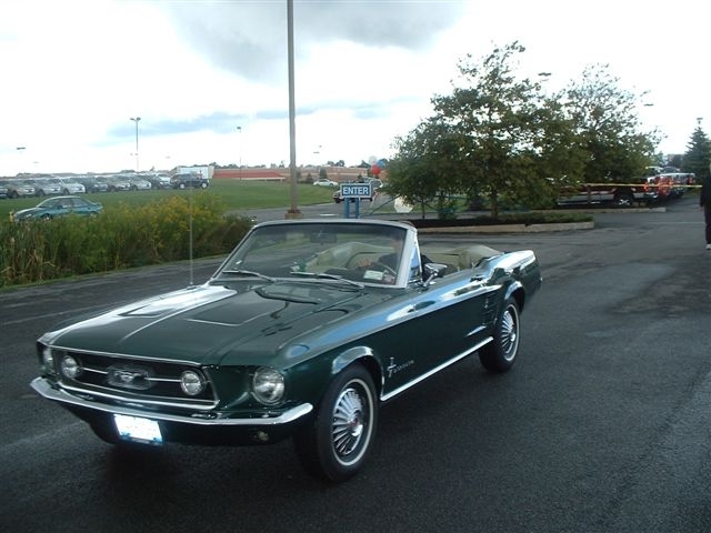 Mike & Karen Holy, 1967 Mustang Convertible click to enlarge and see description