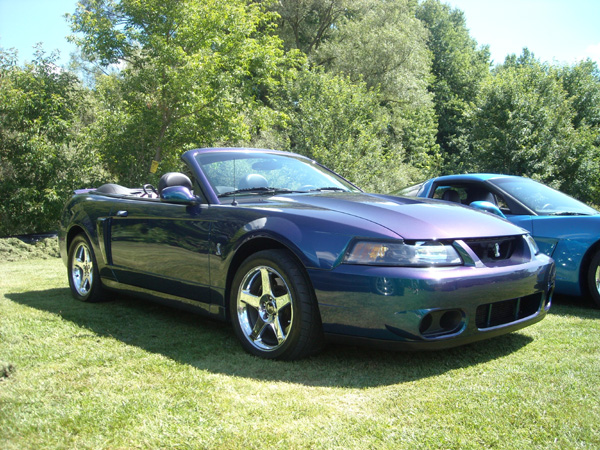 Ron Balduzzi, 2004 Mystic Cobra Convertible click to enlarge and see description